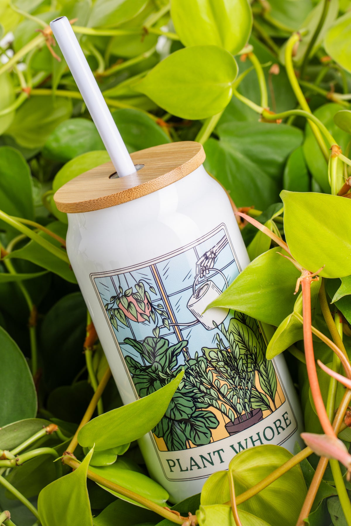 insulated cup